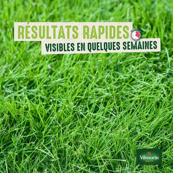 Rustique - Gazon Rustique - 3 kg - image